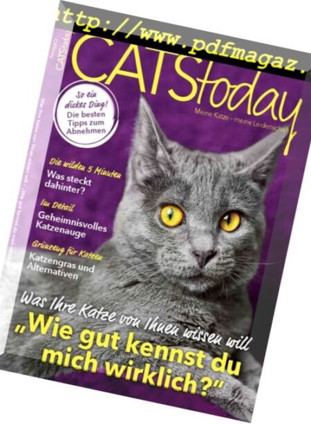 Cats Today – Nr.3, 2016 Cover
