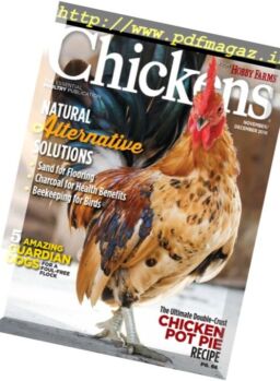 Chickens – November-December 2016