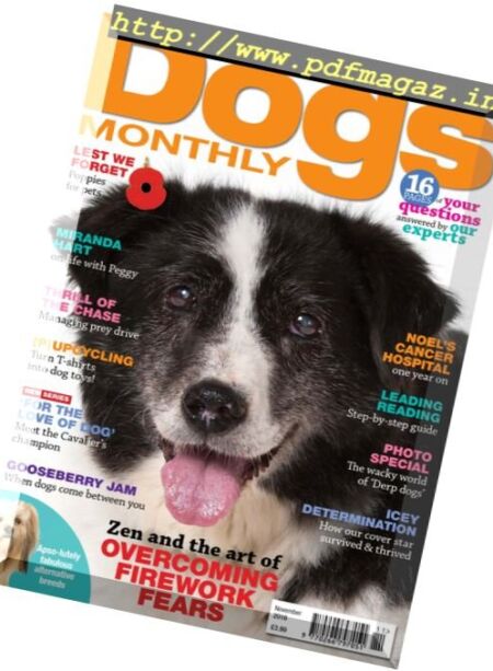 Dogs Monthly – November 2016 Cover