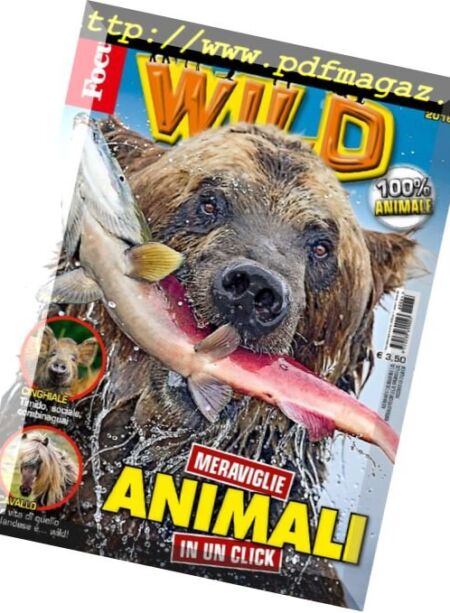Focus Wild – Novembre 2016 Cover