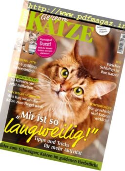 Geliebte Katze – Oktober 2016