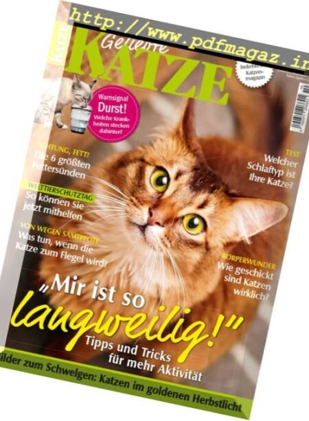 Geliebte Katze – Oktober 2016 Cover