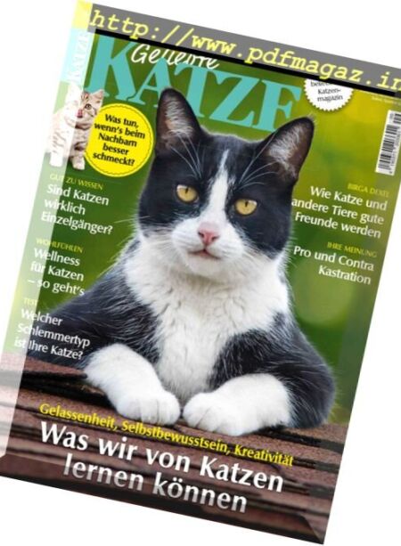 Geliebte Katze – September 2016 Cover