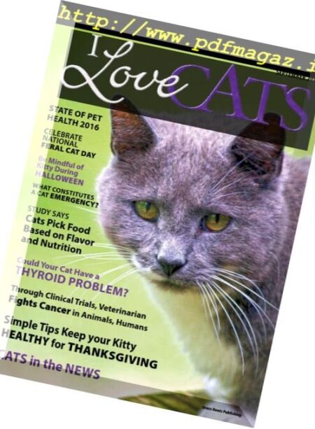 I Love Cats – September 2016 Cover