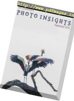 Photo insights – September 2016