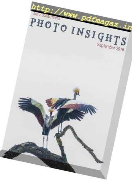 Photo insights – September 2016 Cover