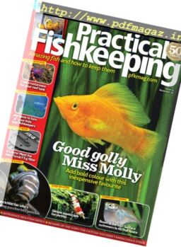 Practical Fishkeeping – November 2016