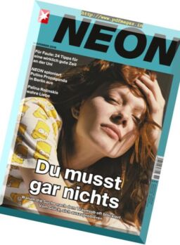Stern Neon – November 2016