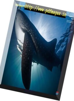 Underwater Photography – September-October 2016