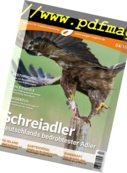 Vogel – Nr.4, 2016