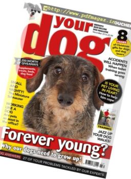 Your Dog – November 2016