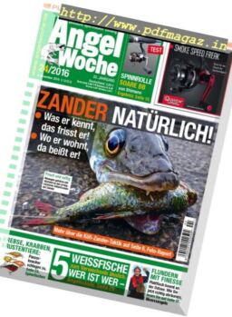 Angel Woche – 4 November 2016
