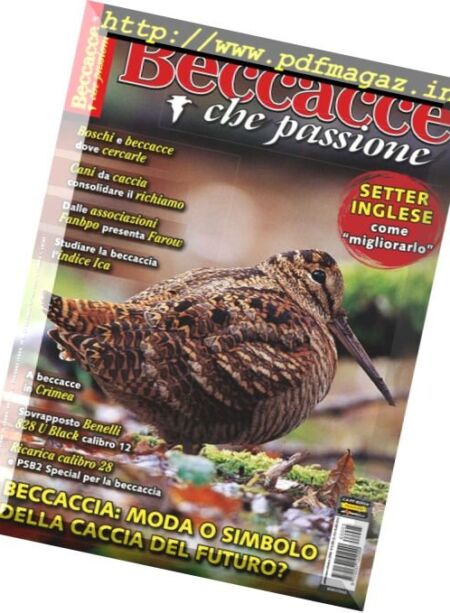 Beccacce Che Passione – Settembre-Ottobre 2016 Cover