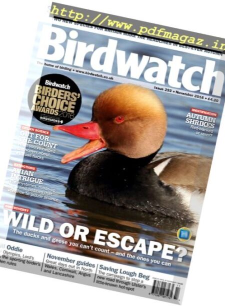 Birdwatch UK – November 2016 Cover