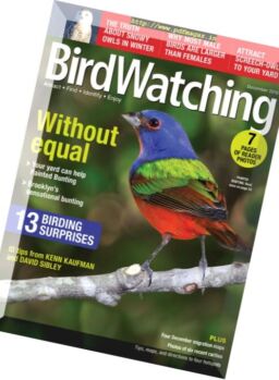 BirdWatching – December 2016