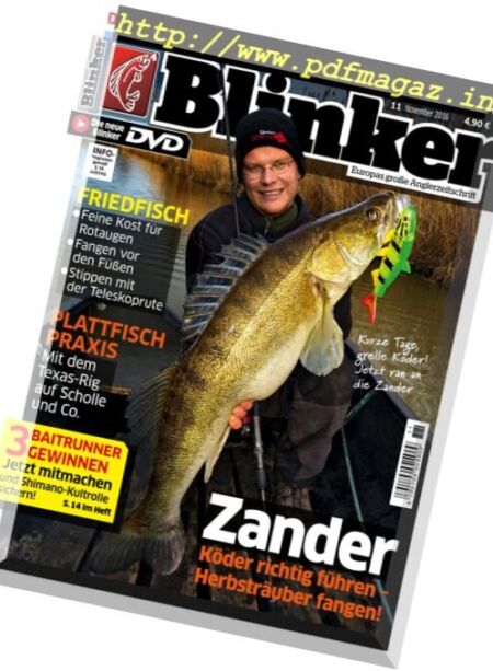 Blinker – November 2016 Cover