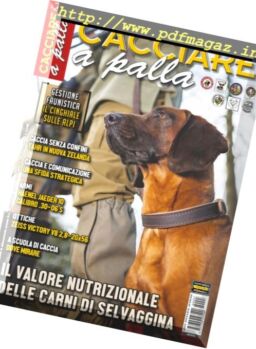 Cacciare a Palla – Luglio 2016