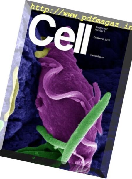 Cell – 6 October 2016 Cover