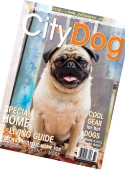 CityDog – Fall 2016