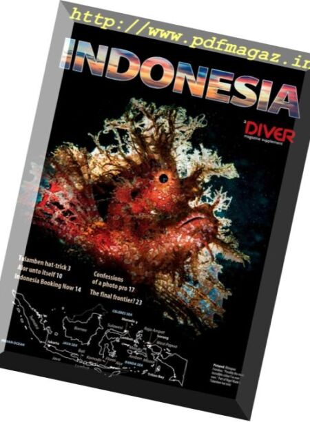 Diver UK – Indonesia Supplement 2016 Cover