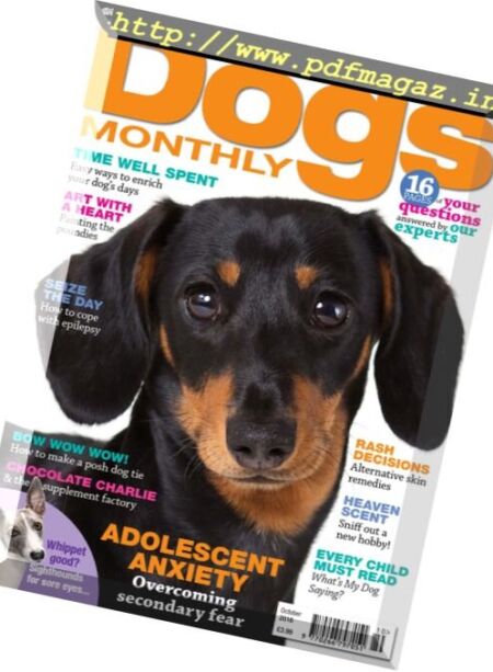 Dogs Monthly – October 2016 Cover