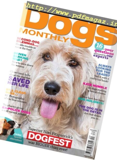 Dogs Monthly – September 2016 Cover