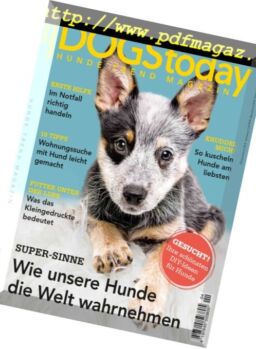 Dogs Today – Juli-August 2016