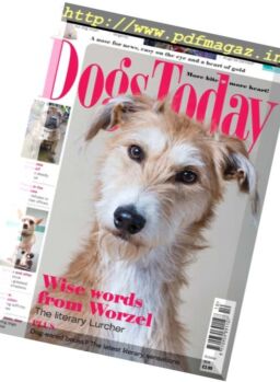Dogs Today UK – October 2016