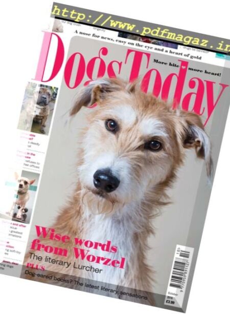 Dogs Today UK – October 2016 Cover
