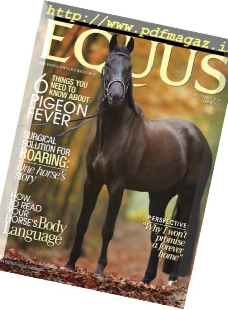 Equus – November 2016 Cover