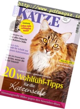 Geliebte Katze – November 2016