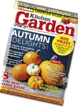 Kitchen Garden – November 2016