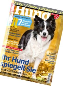 Partner Hund – November 2016