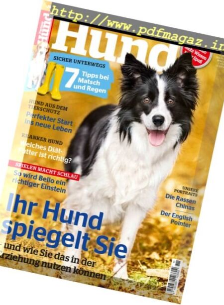 Partner Hund – November 2016 Cover