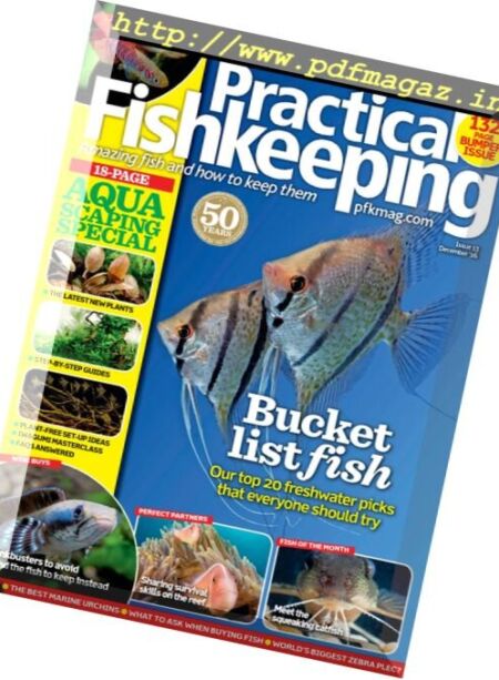 Practical Fishkeeping – December 2016 Cover
