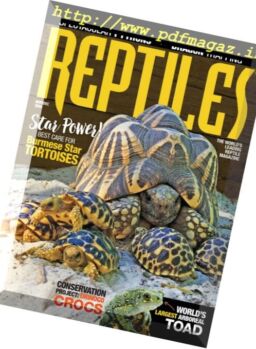 Reptiles – November – December 2016