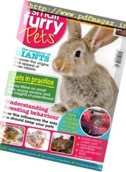 Small Furry Pets – October-November 2016