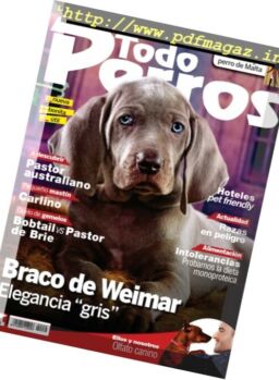 Todo Perros – Octubre 2016