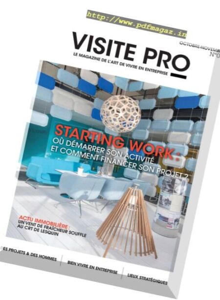 Visite Pro – Octobre-Novembre 2016 Cover