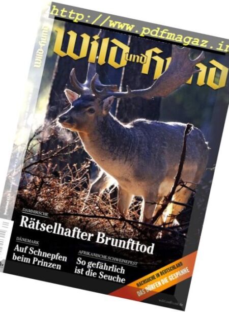 Wild und Hund – 20 Oktober 2016 Cover