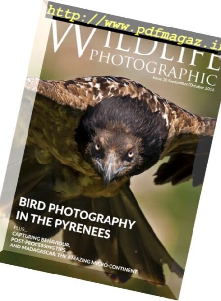 Wildlife Photographic – Issue 20, – September-October 2016 Cover