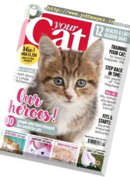 Your Cat – September 2016