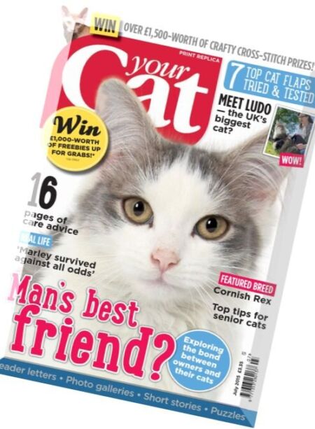 Your Cat – July 2015 Cover