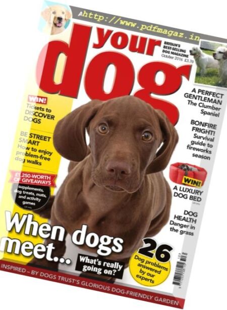 Your Dog – October 2016 Cover