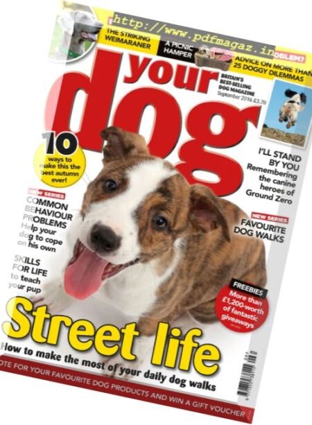 Your Dog – September 2016 Cover