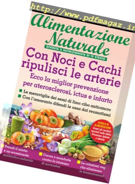 Alimentazione Naturale – Novembre 2016 Cover