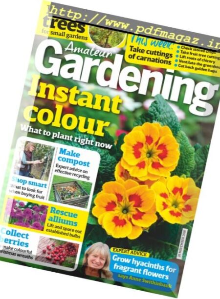 Amateur Gardening – 26 November 2016 Cover