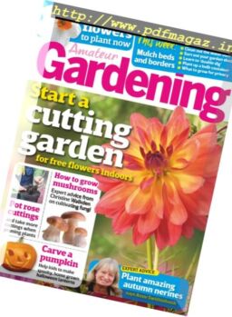 Amateur Gardening – 29 October 2016
