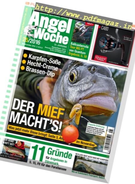 Angel Woche – 18 November 2016 Cover