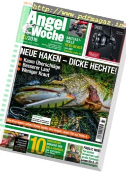 Angel Woche – 21 Oktober 2016